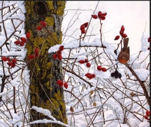 Bardonecchia Ramasso
