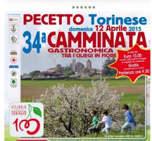 Pecetto logo camminata