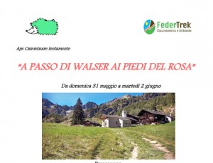 Walser camminare logo