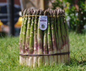 Santena asparagi