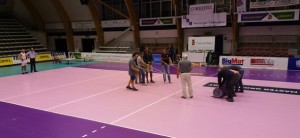 Palamaddalene rosa foto