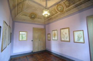 tuninetti 2