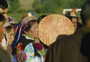 mapuche 2