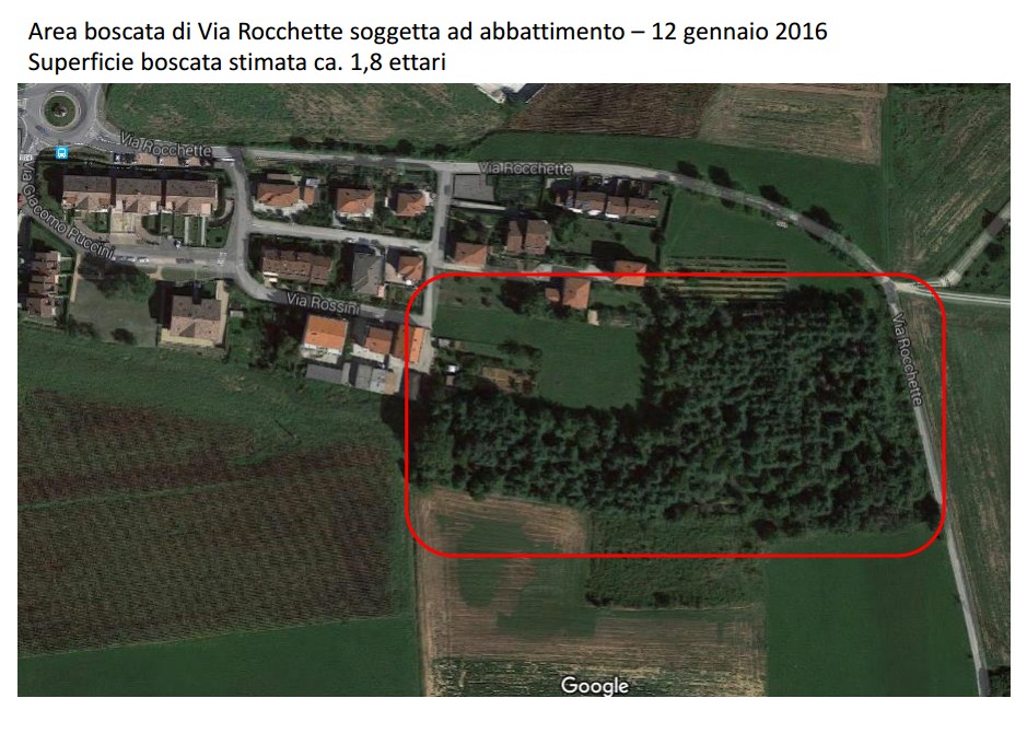boschi google