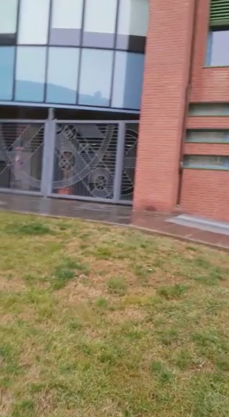 cacche cani ospedale