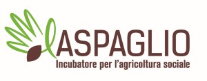 aspaglio