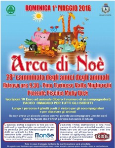 arca di noè