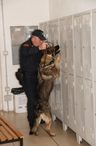 carabinieri droga scuola