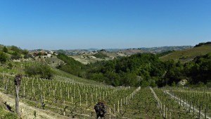 passeggiata Castiglione Tinella (2)