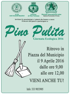 pino pulita