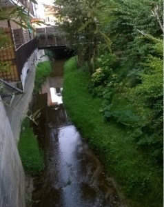 trofarello rio sauglio foto