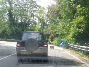 Pino vecchio senso unico