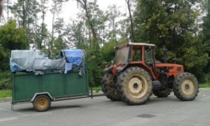 trattore-e-rimorchio-per-il-trasporto-del-bovino_425589