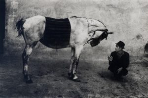 professione reporter