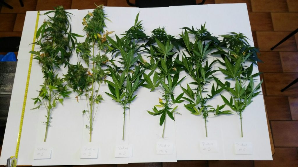 2016-08-24-PHOTO-00000015