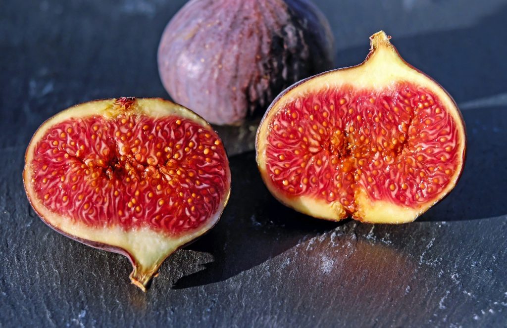 figs-1620590_1280