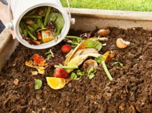 compost1-kXEB-U43100159304314j3F-1224x916@Corriere-Web-Sezioni-593x443