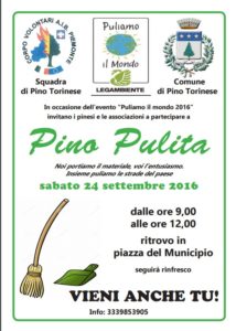 pino-pulita