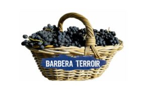 barbera-terroir