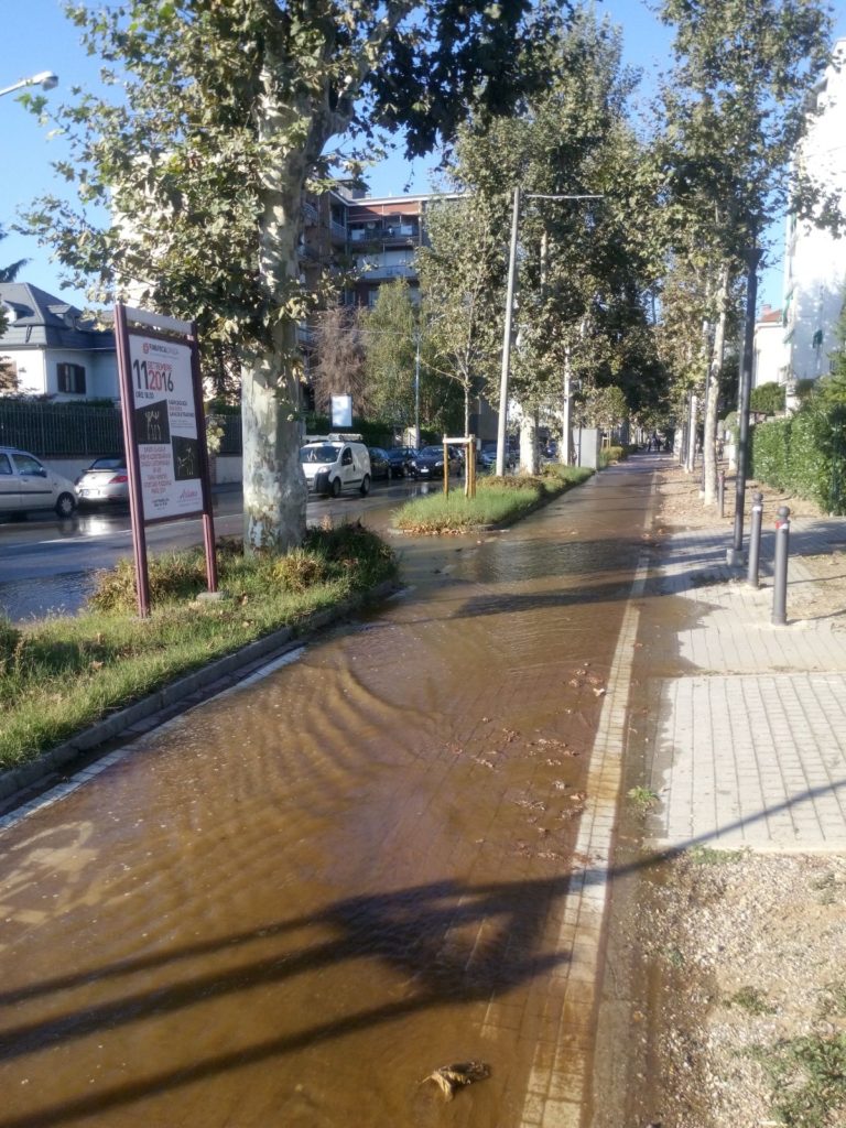 Viale Diaz sommerso dall'acqua