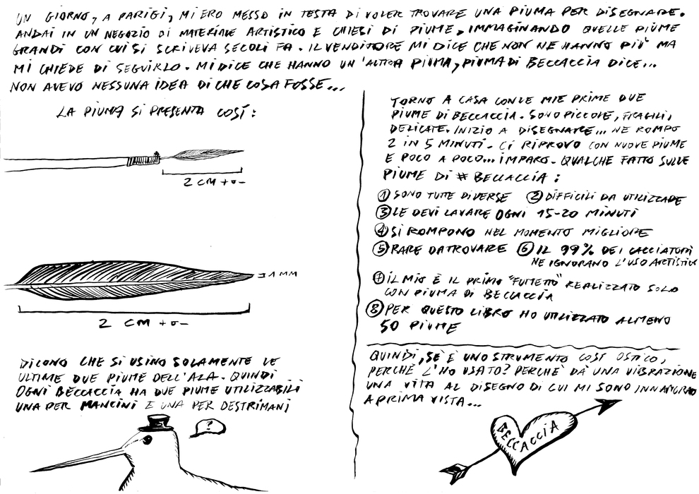 la piuma di beccaccia utilizzata per Il divino inciampare