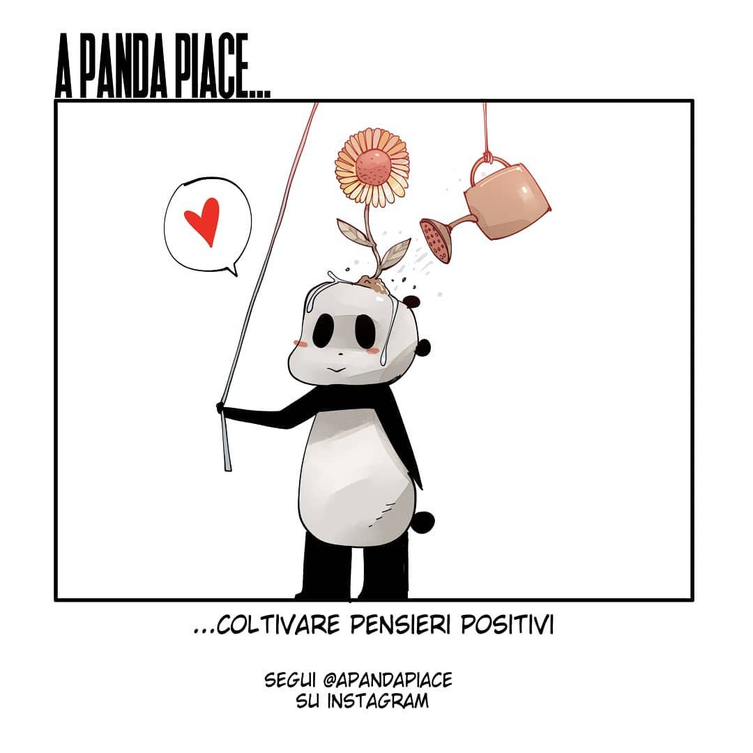 A Panda Piace