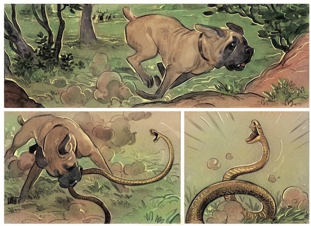 il cane e il serpente